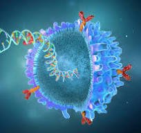 Ameliyat olmuş mesane kanserinde yeni tedavi seçeneği olarak pembrolizumab
