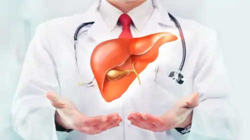 liver