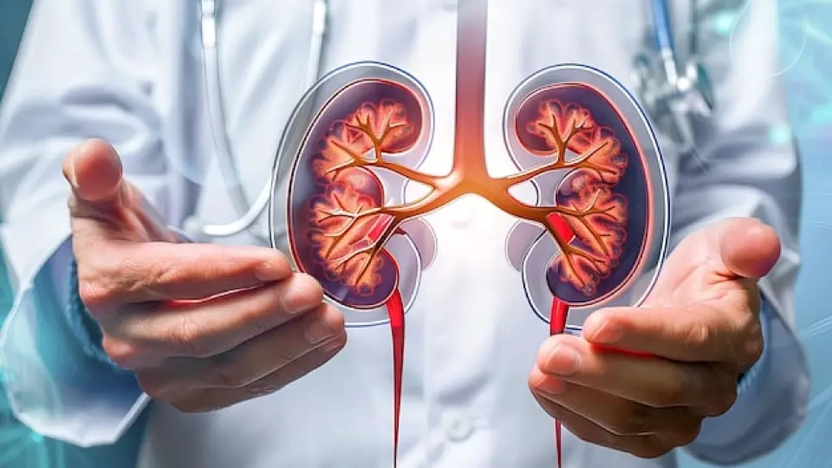 kidney cancer