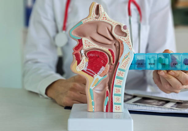 Yüksek Riskli Baş-Boyun Kanserinde Nivolumab ile Daha Uzun Hastalıksız Sağkalım